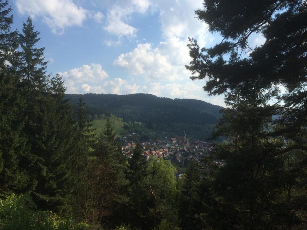 Landhaus Lautenthal Exteriér fotografie